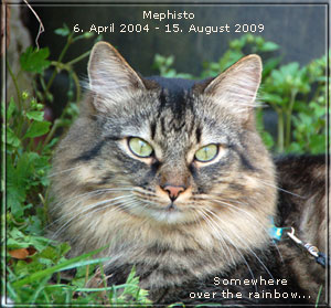 Mephisto, 6. April 2004 - 15. August 2009