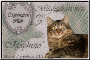 Clubausweis von Mephisto!