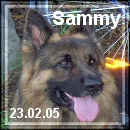 Sammy's Geburtstag