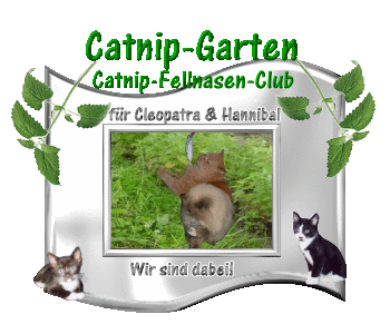 Hier findet ihr uns im Catnip-Garten!